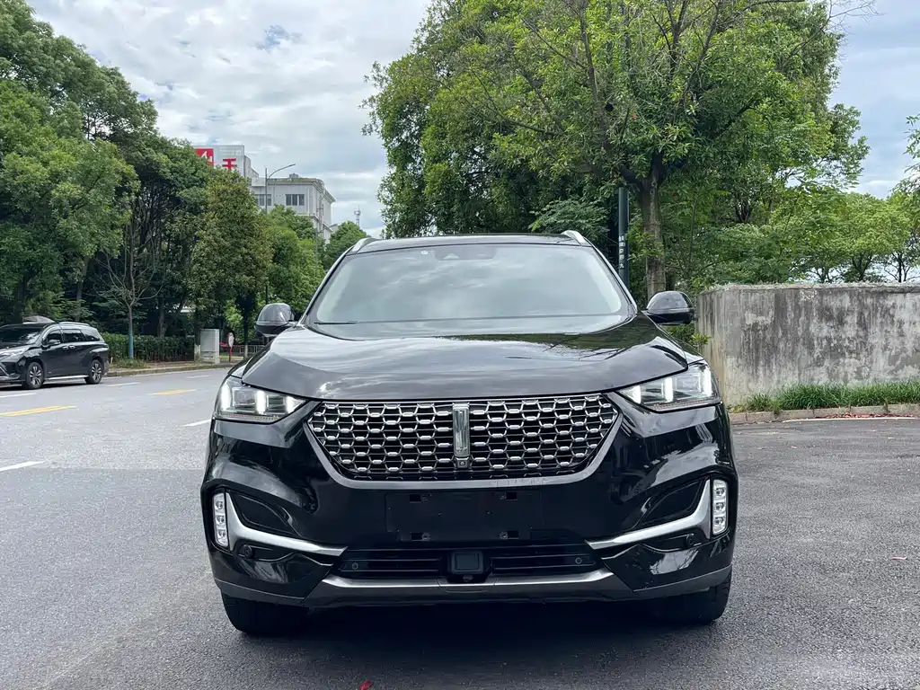 Wey Wey VV6 — миниатюра 2