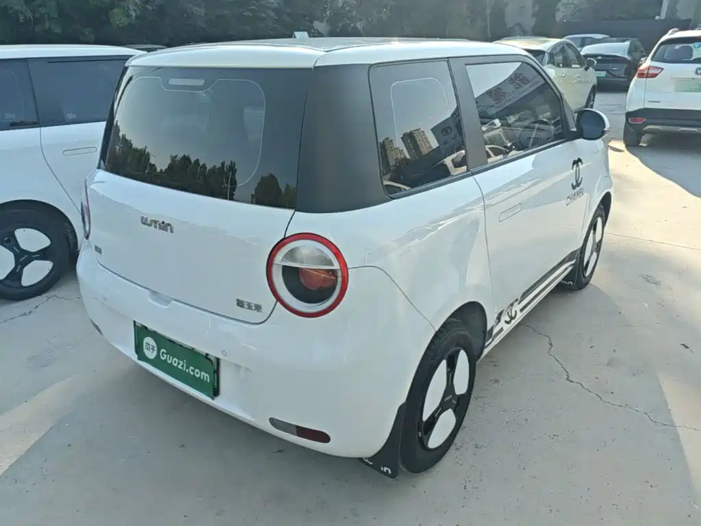 Qiyuan Lumin — миниатюра 7