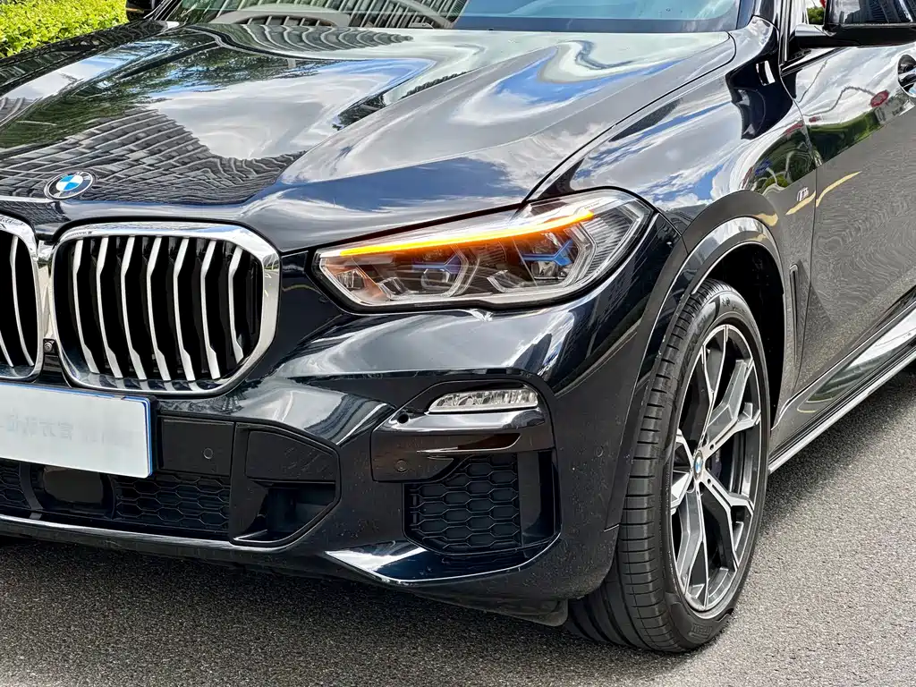 BMW X5 (Import) — миниатюра 4