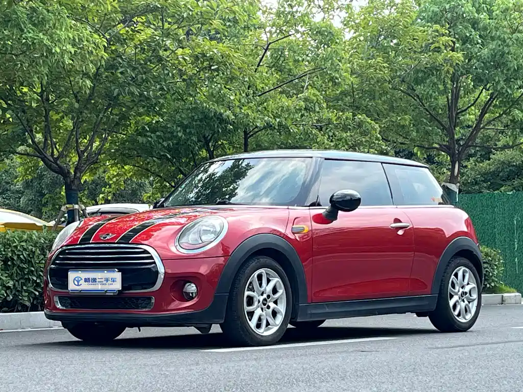 Mini Mini 2015