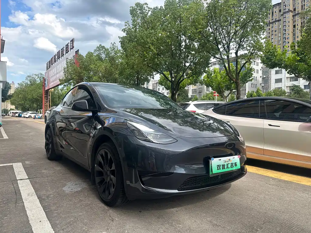 Tesla Model Y — миниатюра 3