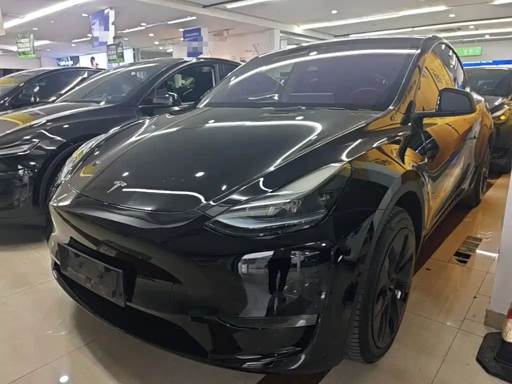 Tesla Model Y — миниатюра 2