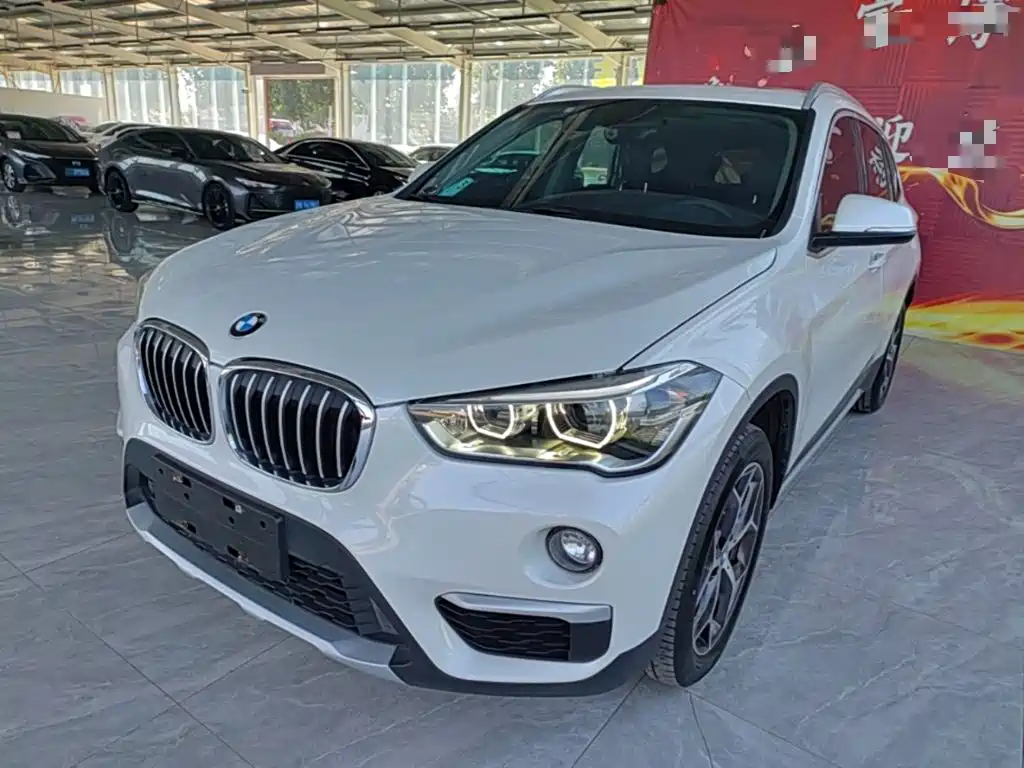 BMW X1 — миниатюра 2