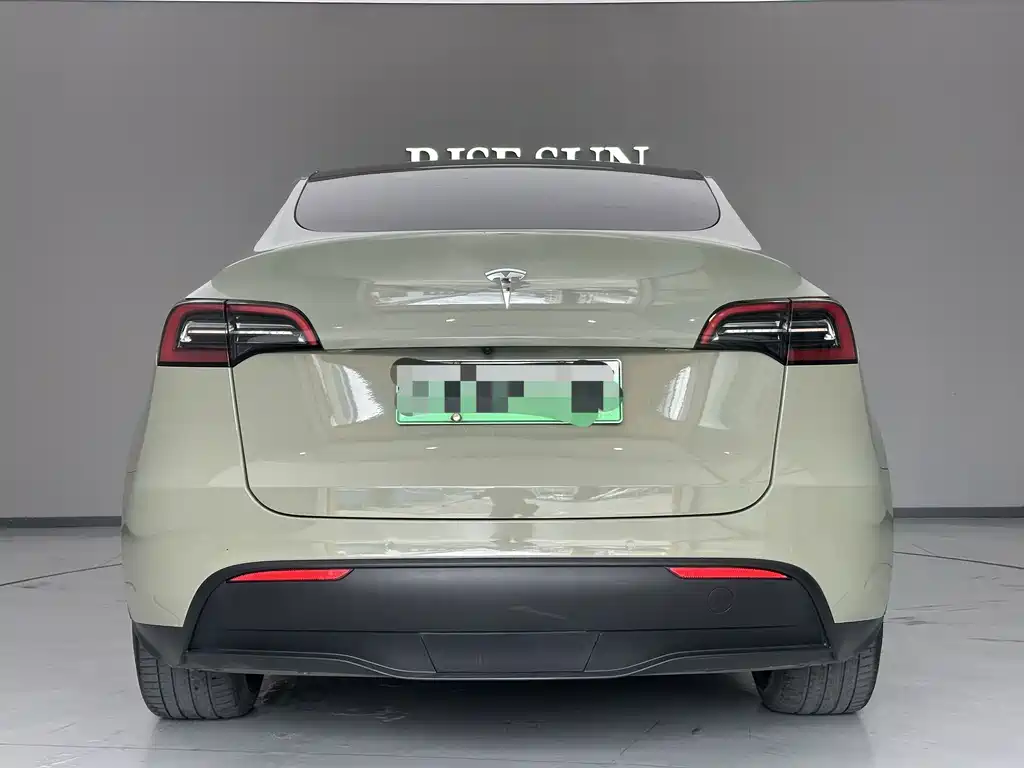 Tesla Model Y — миниатюра 8
