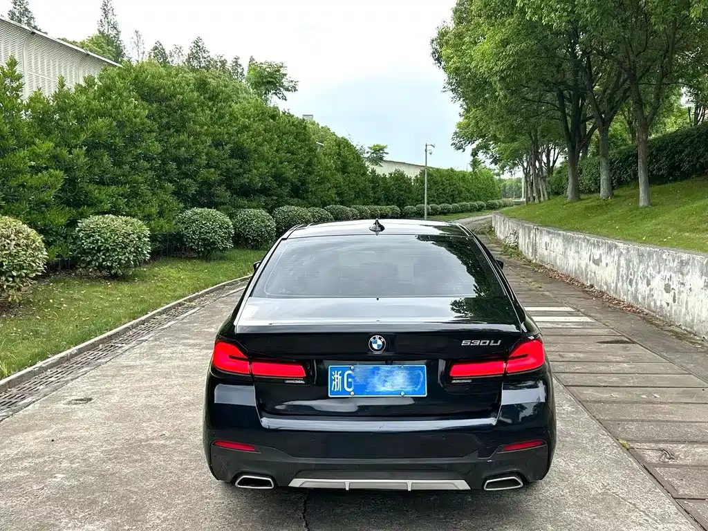 BMW 5 Series 5 2021 530Li Lead Luxury
