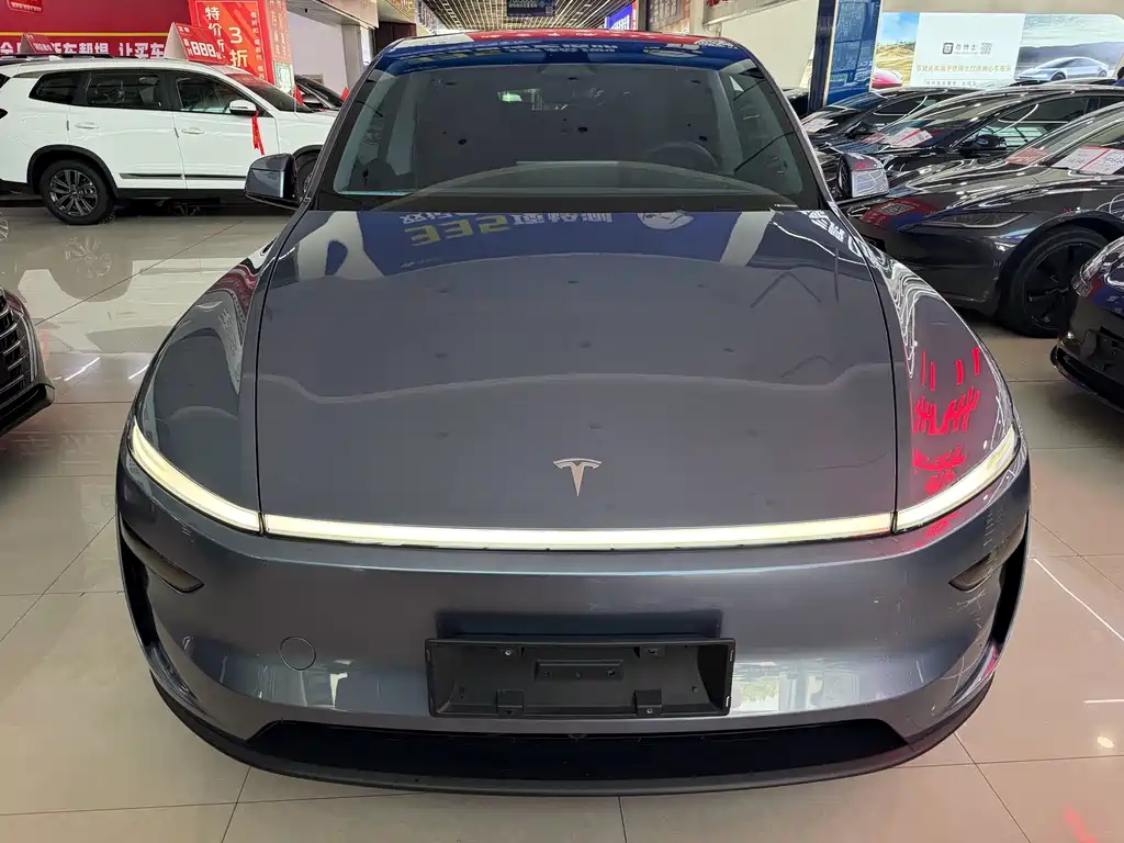 Tesla Model Y — миниатюра 2