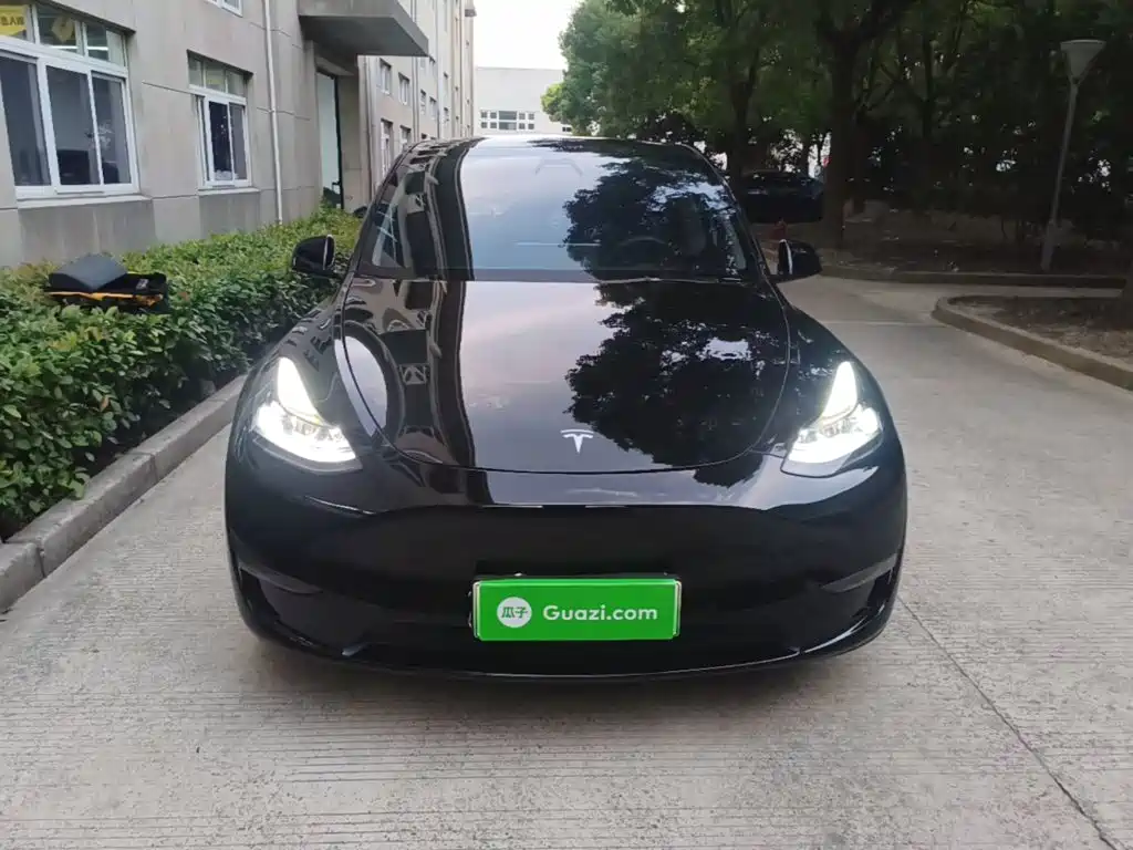 Tesla Model Y — миниатюра 3