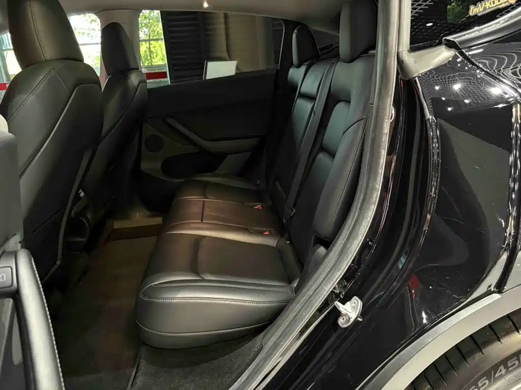 Tesla Model Y — миниатюра 10