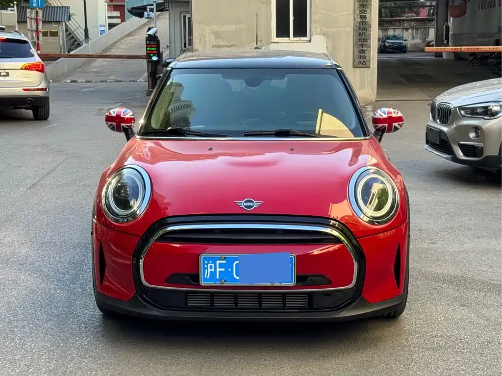 Mini Mini 2021