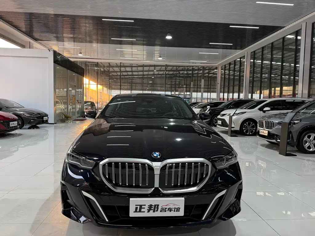 BMW 5 Series — миниатюра 2