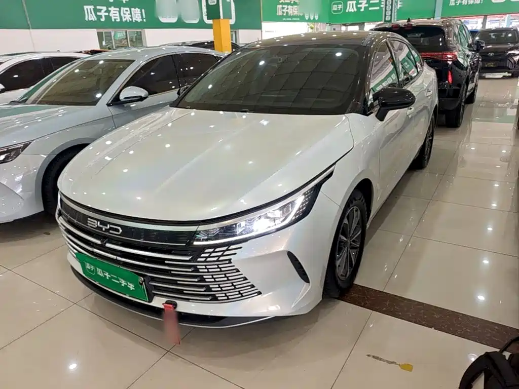 BYD Destroyer 05 — миниатюра 2