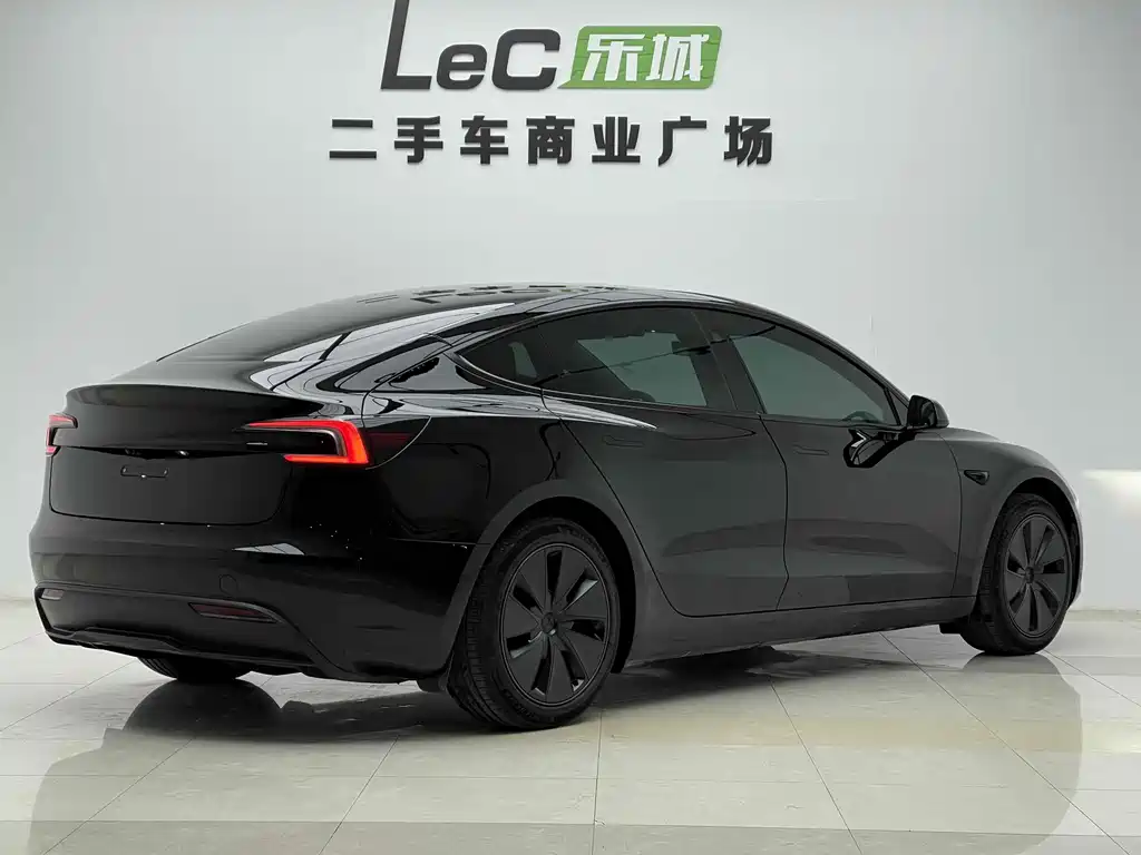 Tesla Model 3 — миниатюра 14