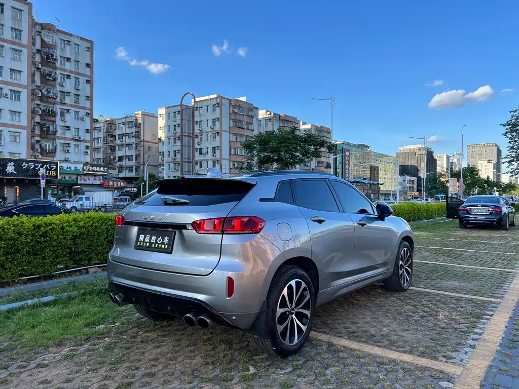 WEI PAI WEI BRAND VV7