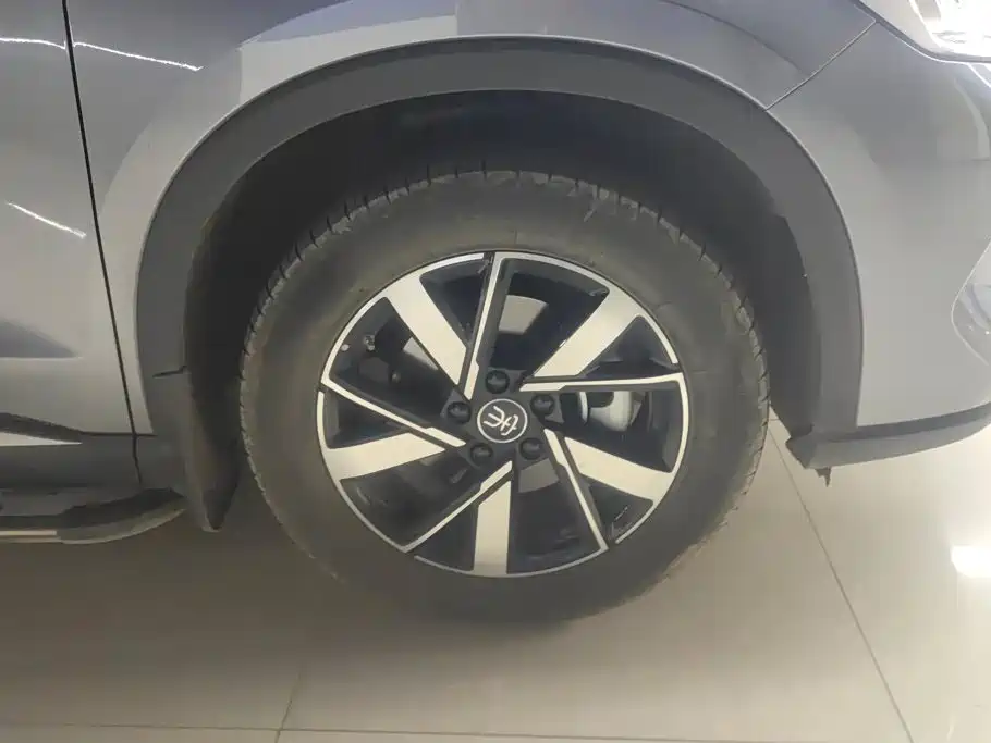 BYD Pro New Energy — миниатюра 6