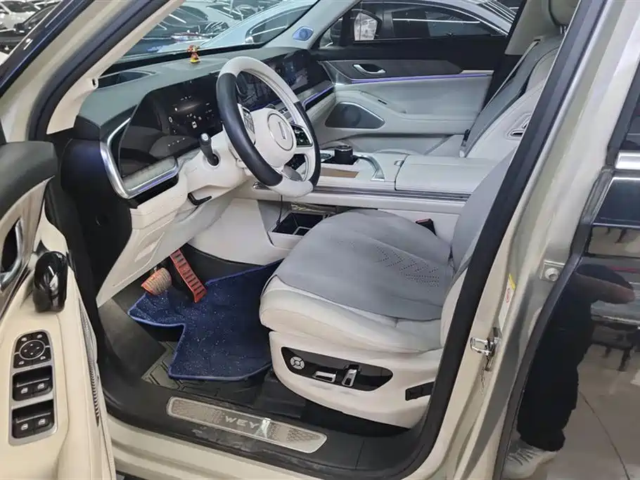 WEI PAI WEI BRAND BLUE MOUNTAIN