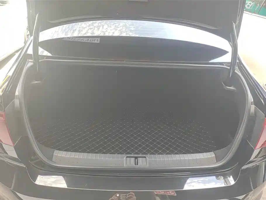 Volkswagen Magotan 2025 330TSI DSG Luxury
