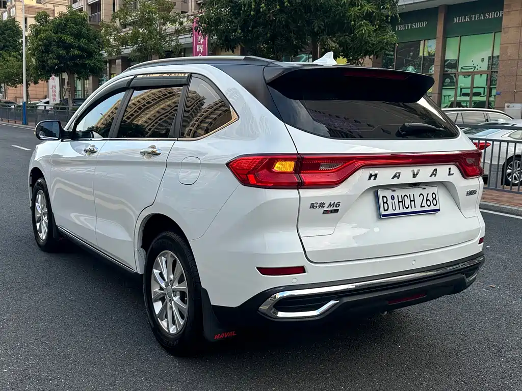Haval M6 — миниатюра 6
