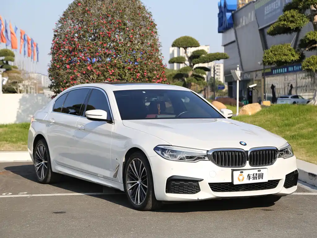 BMW 5 Series — миниатюра 3
