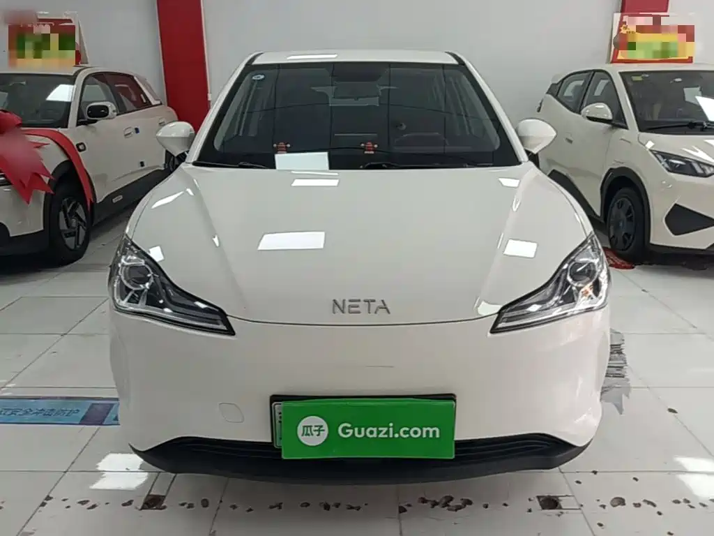 Neta Neta V — миниатюра 3