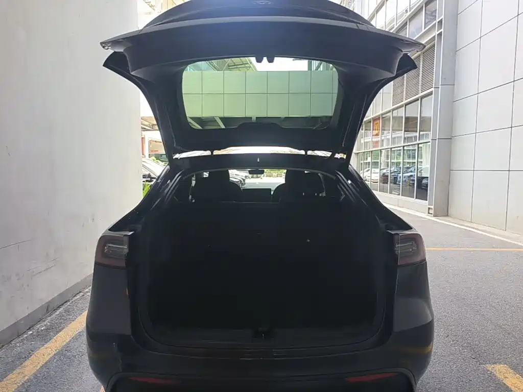 Tesla Model Y — миниатюра 19