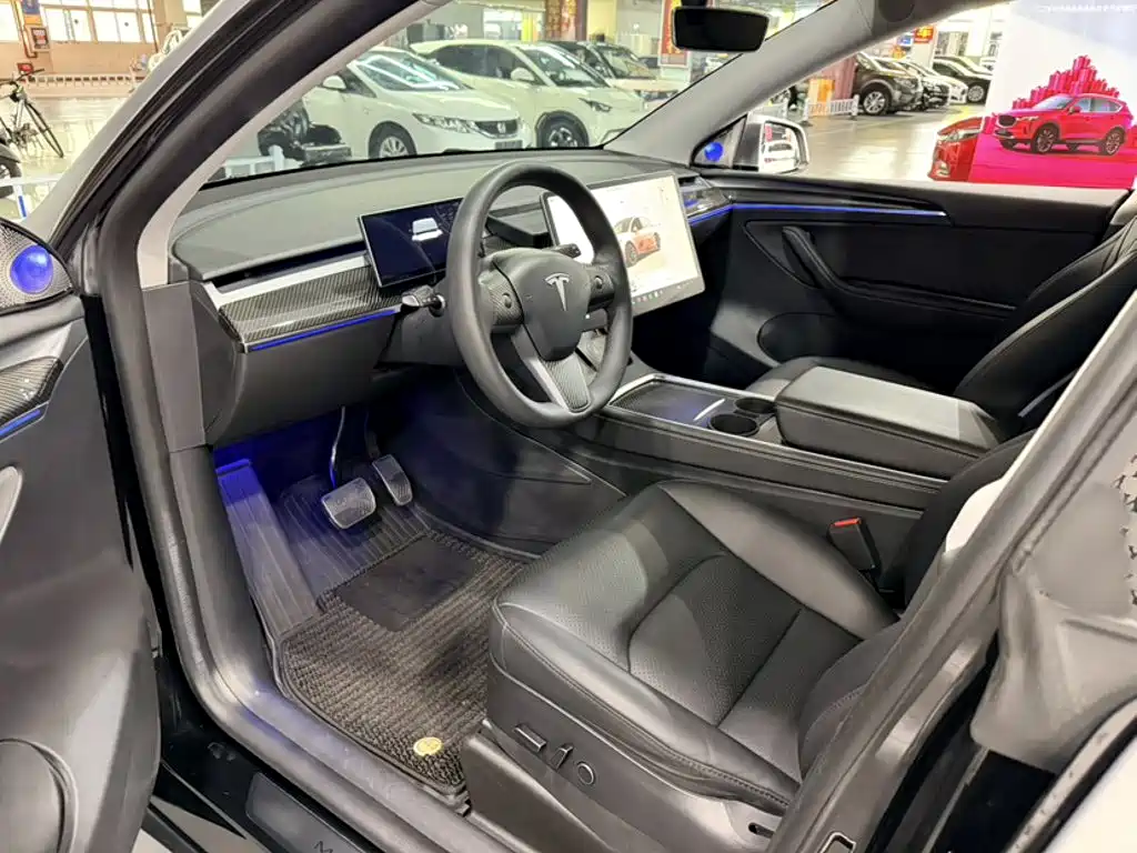 Tesla Model Y — миниатюра 10