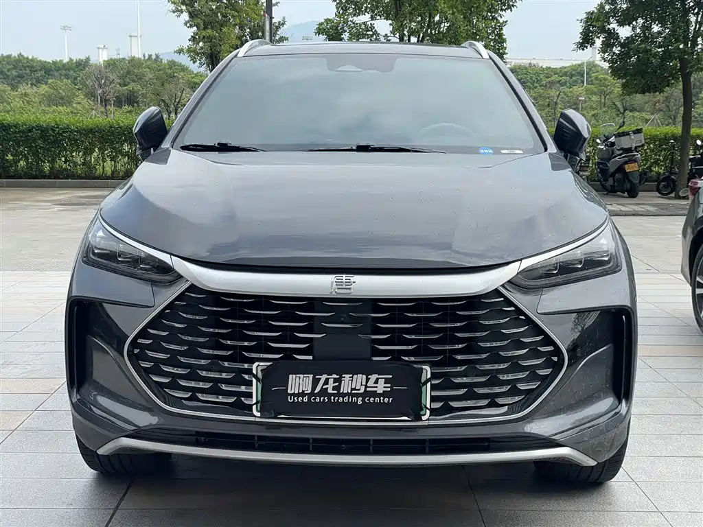 BYD Tang New Energy — миниатюра 2