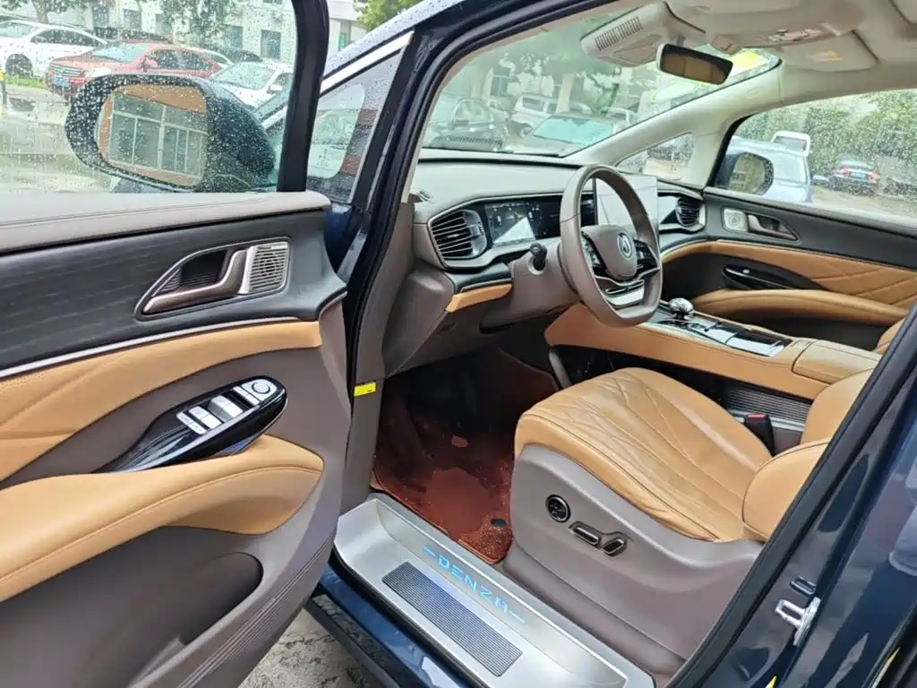 Denza Denza D9 — миниатюра 16