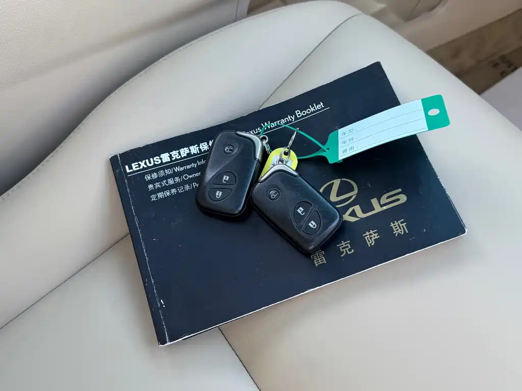 Lexus RX Classic — миниатюра 15