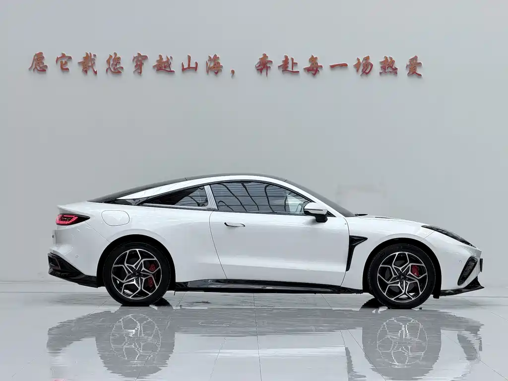 Neta Neta GT — миниатюра 15