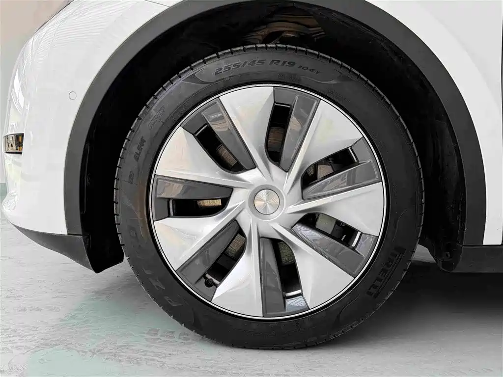 Tesla Model Y — миниатюра 17