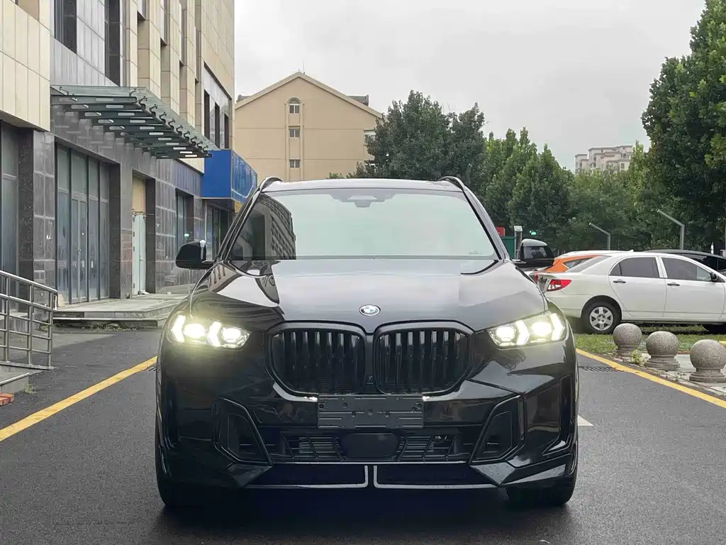 BMW X5 — миниатюра 2