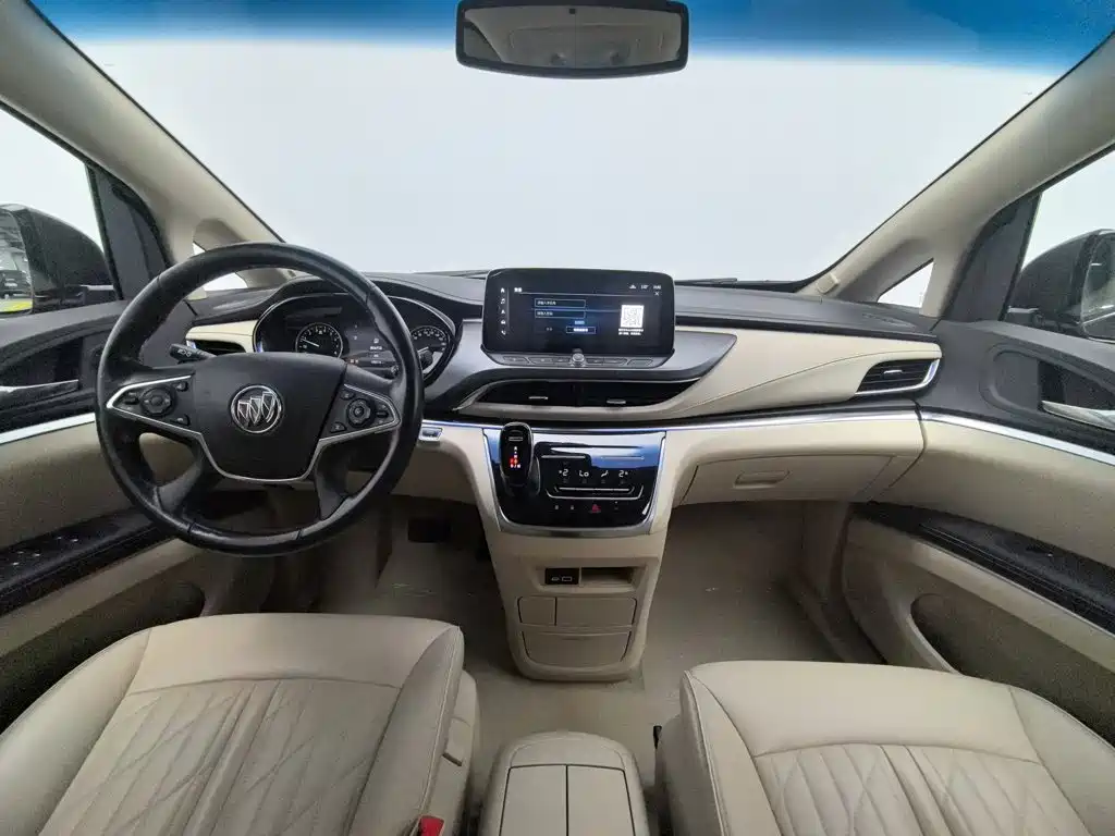 Buick GL8 — миниатюра 5