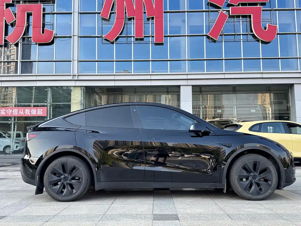 Tesla Model Y — миниатюра 7