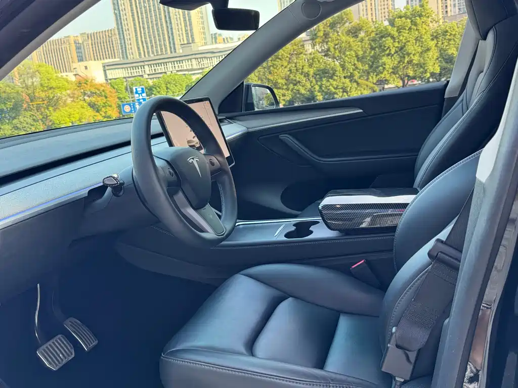Tesla Model Y — миниатюра 11