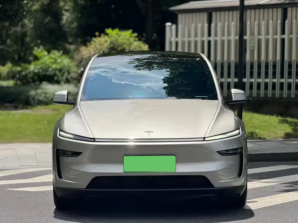 Tesla Model Y L — миниатюра 2