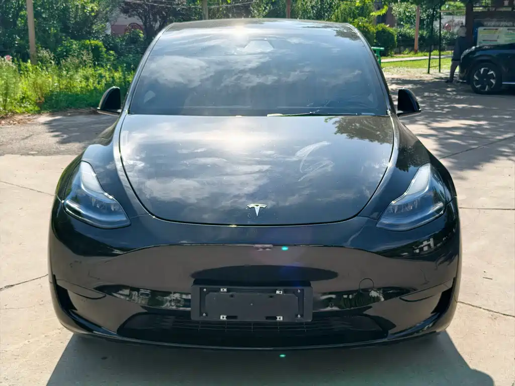 Tesla Model Y — миниатюра 2