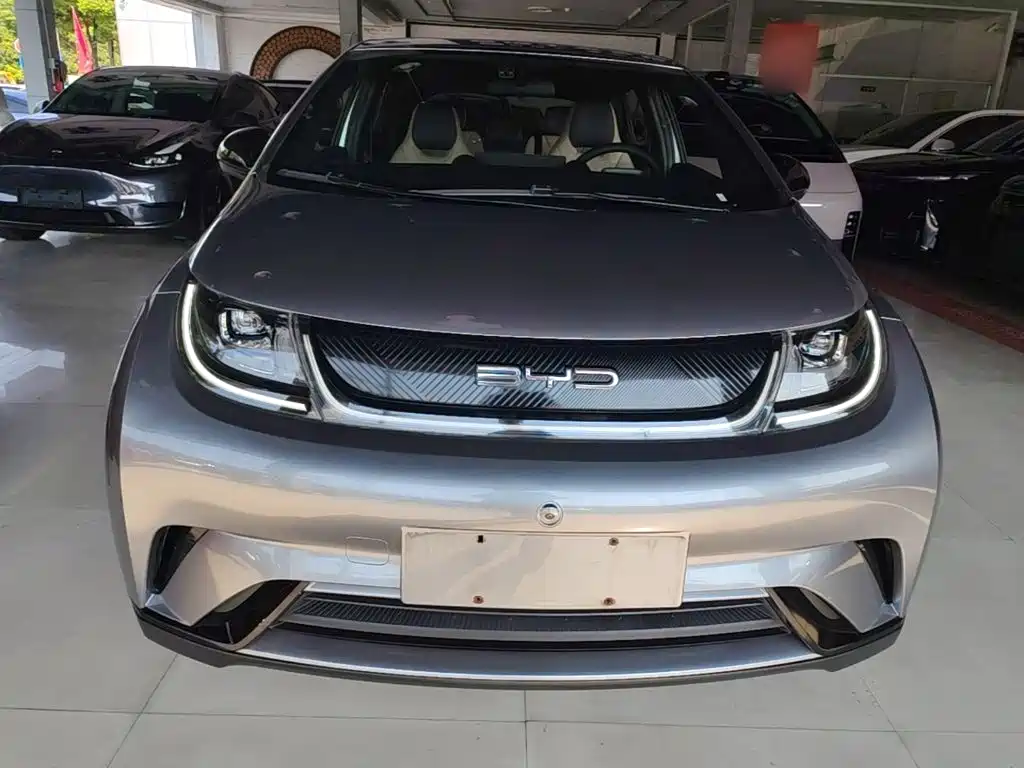 BYD Dolphin — миниатюра 3