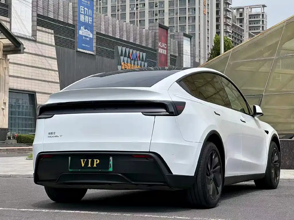 Tesla Model Y — миниатюра 9