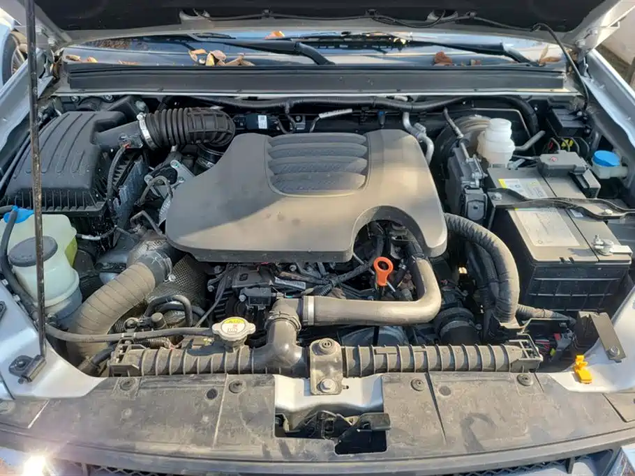 GREAT WALL FENGJUN 5