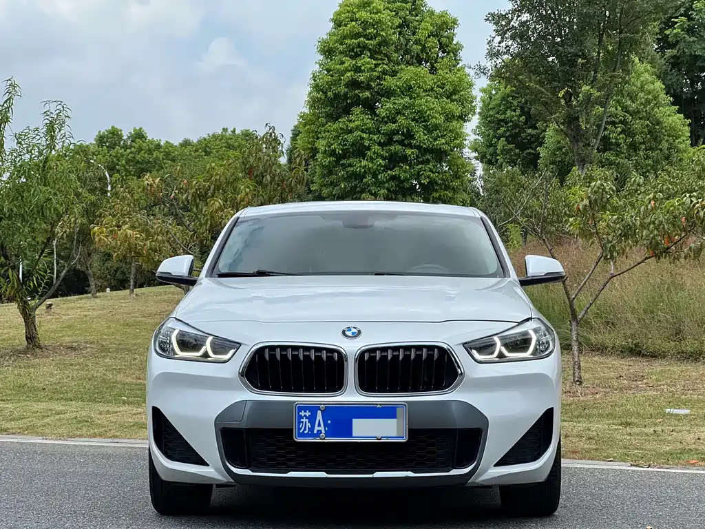 BMW X2 — миниатюра 2