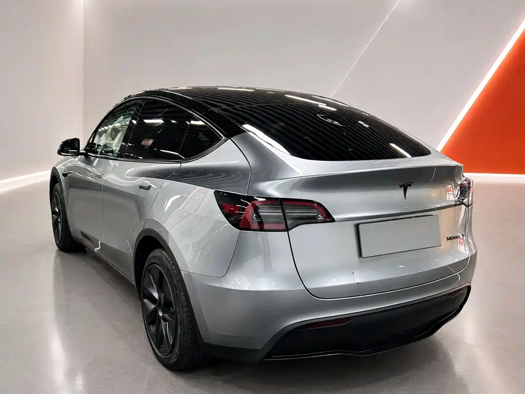 Tesla Model Y — миниатюра 6