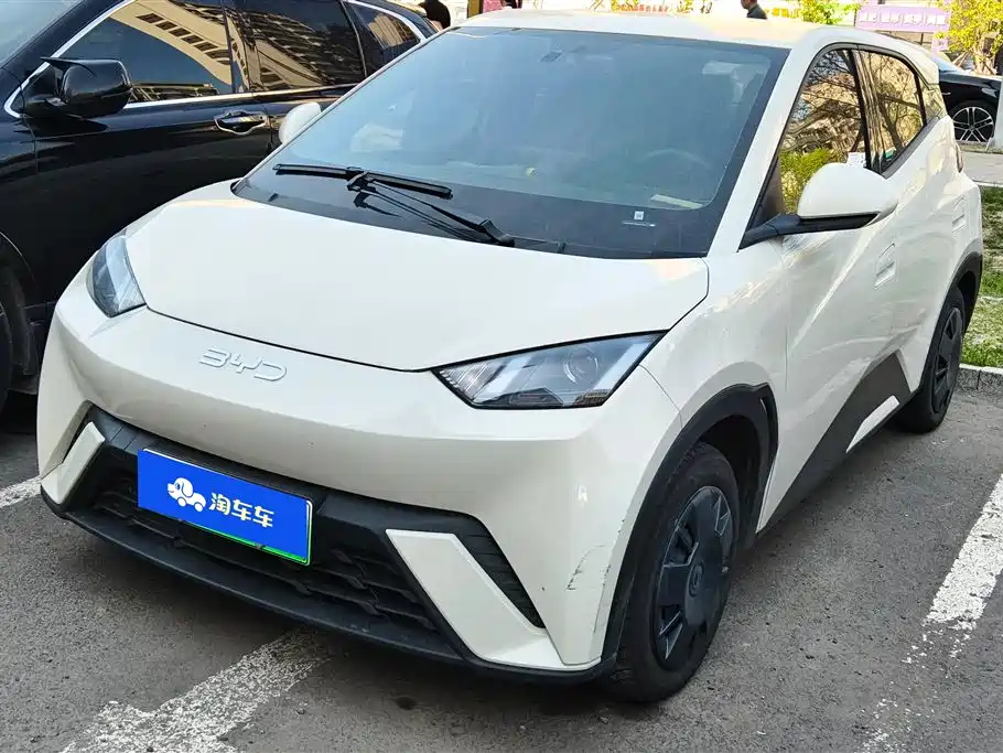 Byd Seagull 2024