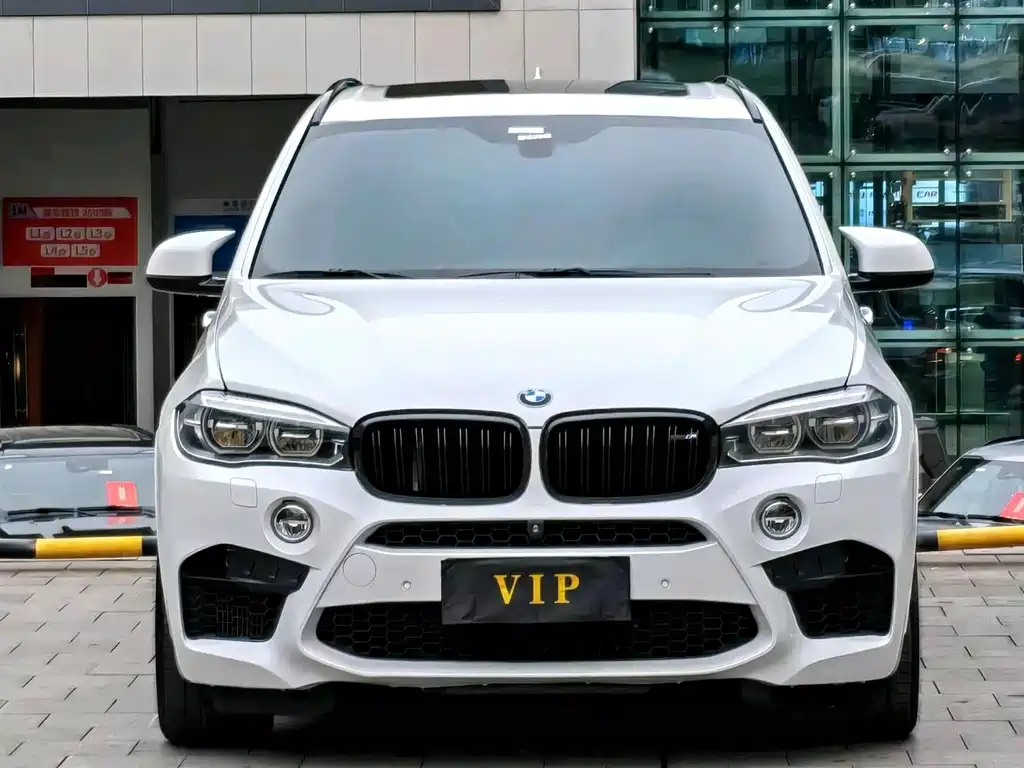 BMW X5 M — миниатюра 2