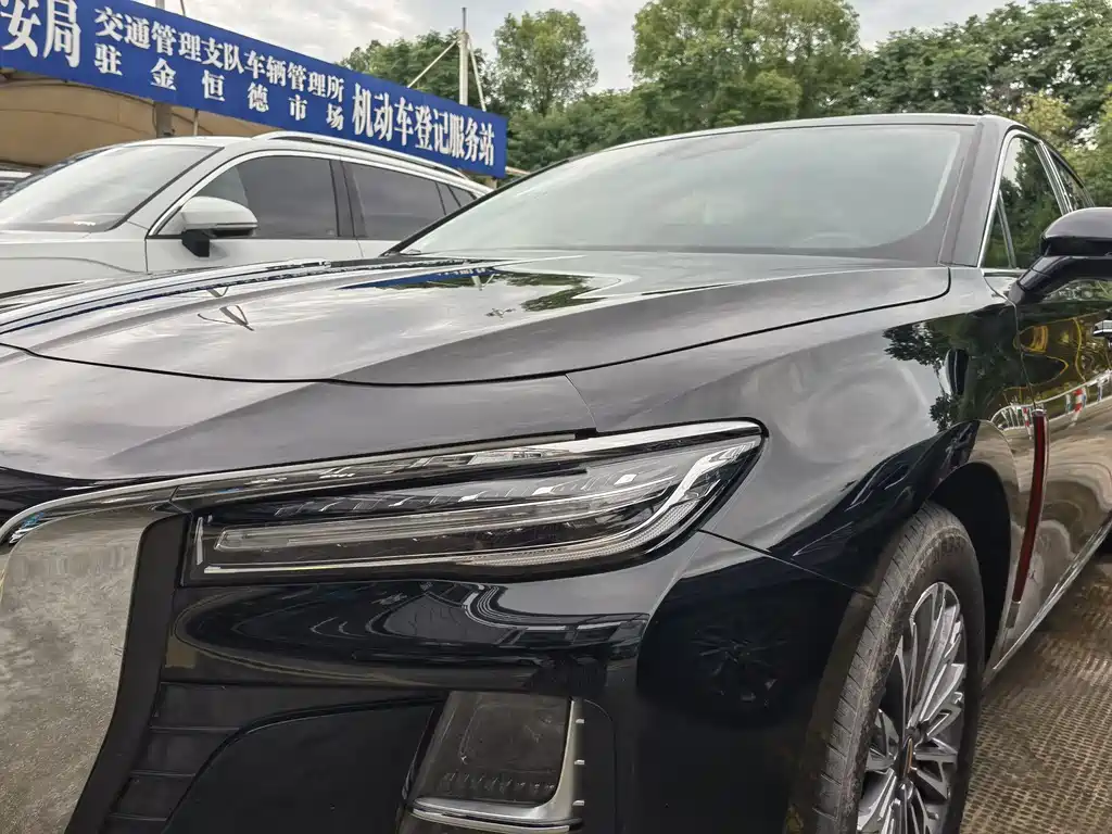 Hongqi H5 2024 2.0T AT