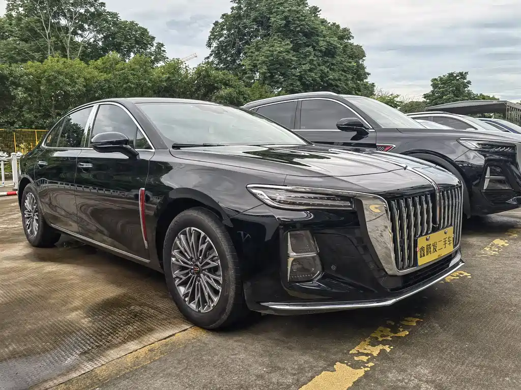 Hongqi H5 2024 2.0T AT