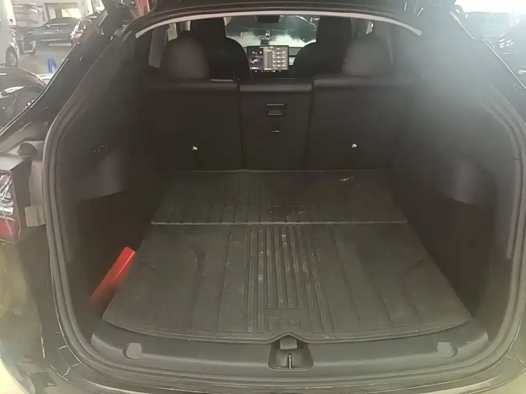 Tesla Model Y — миниатюра 19