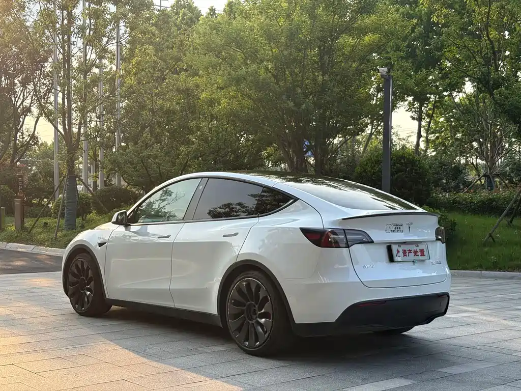 Tesla Model Y — миниатюра 6