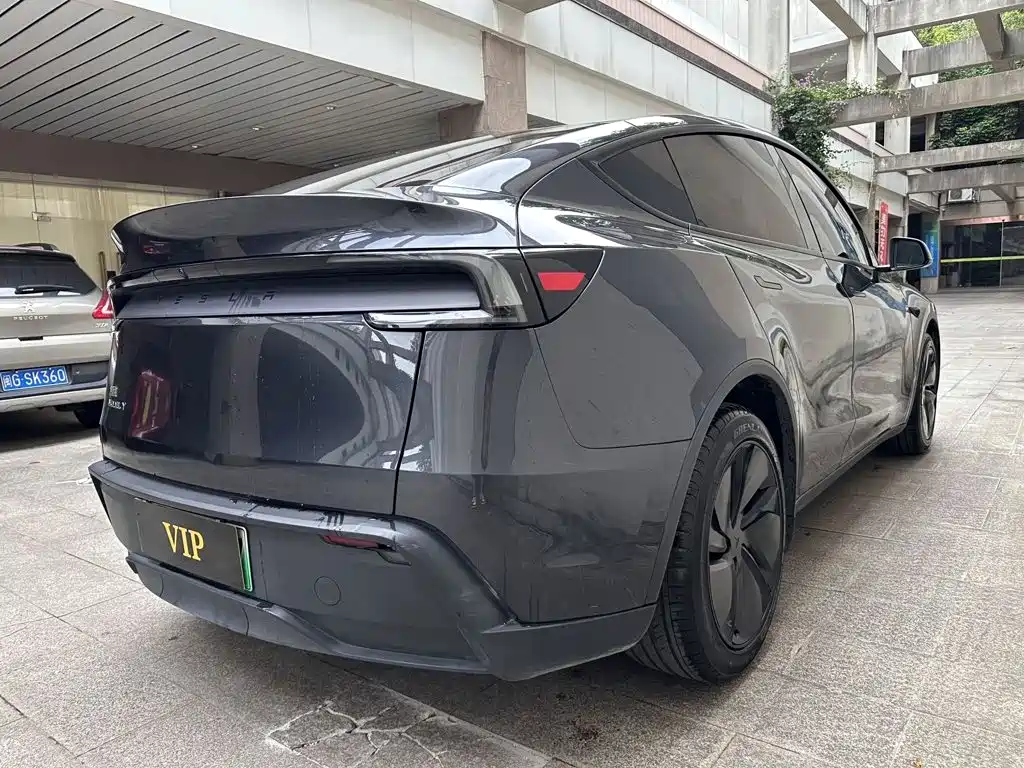Tesla Model Y — миниатюра 8