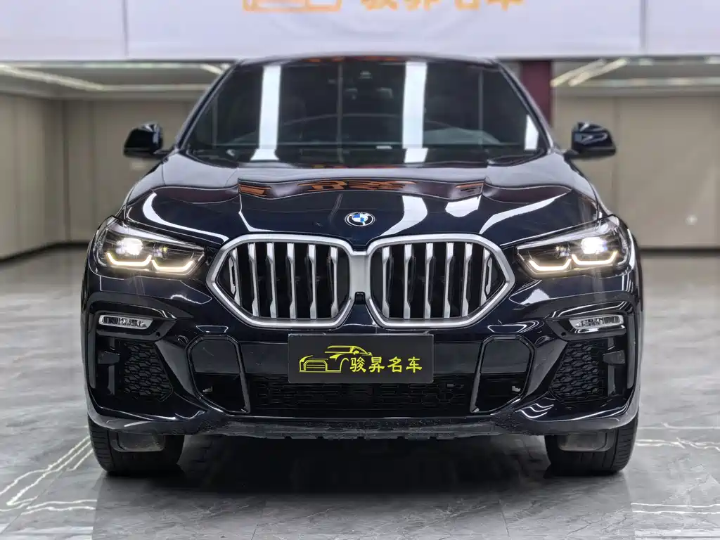 BMW X6 — миниатюра 2