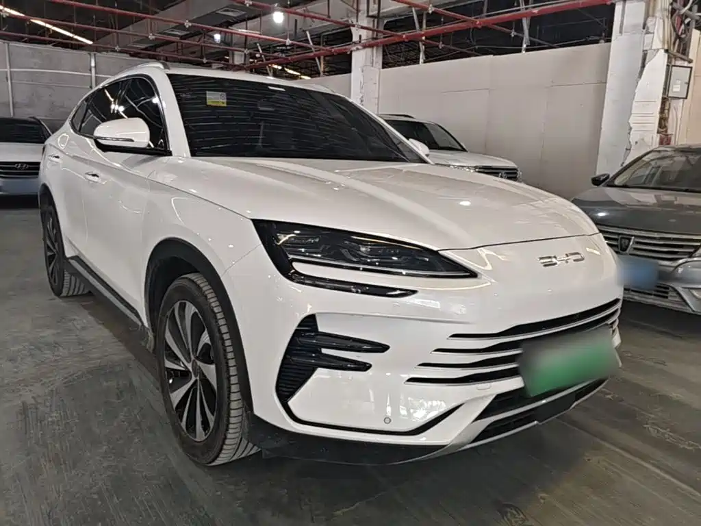 BYD PLUS New Energy — миниатюра 4